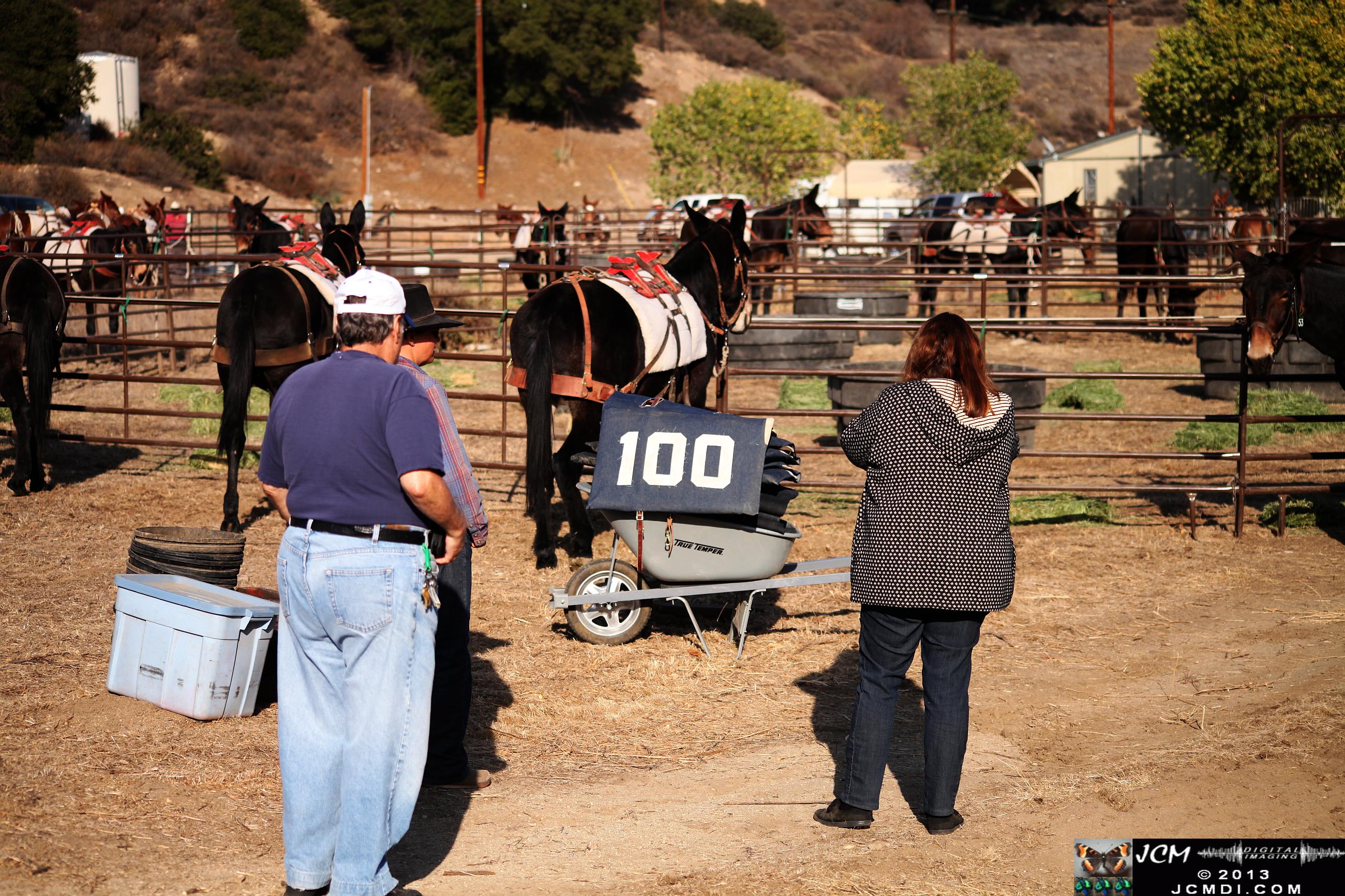 100 Mule Team at Whitney Canyon